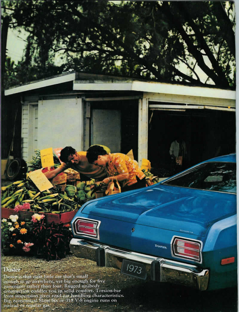 n_1973 Plymouth Duster-Valiant-Barracuda (Rev)-02.jpg